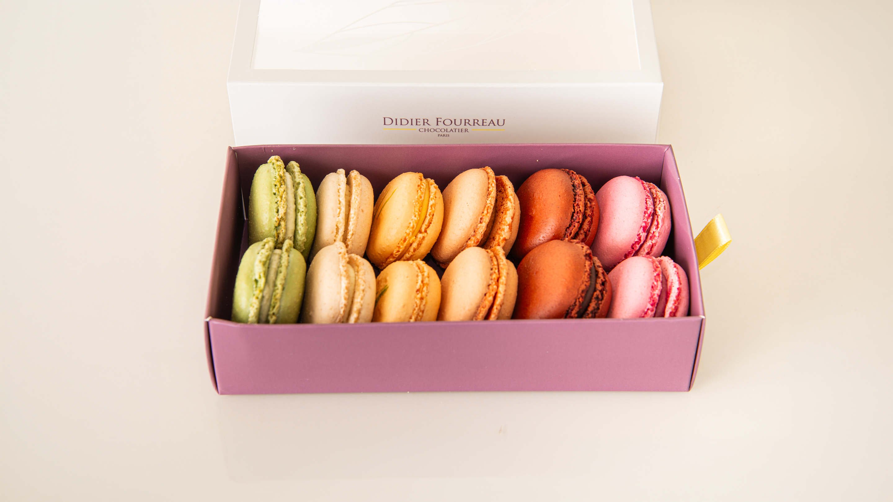 DidierFourreauChocolatier CoffretMacaronsTaille02